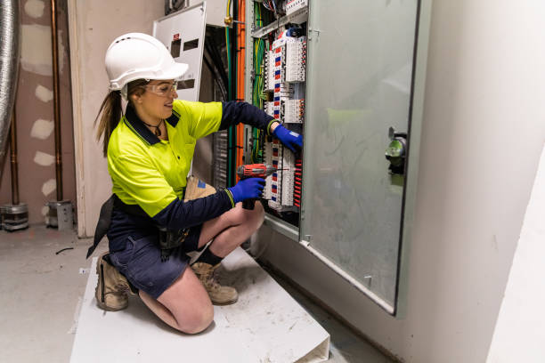 Best Electric Panel Repair  in Lake Cassidy, WA