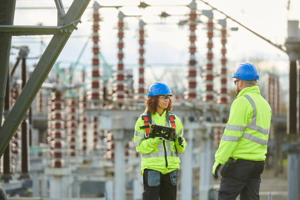 Best Residential Electrician Services  in Lake Cassidy, WA