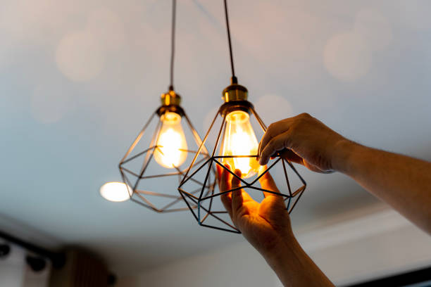 Best Electrical Installation Contractor  in Lake Cassidy, WA