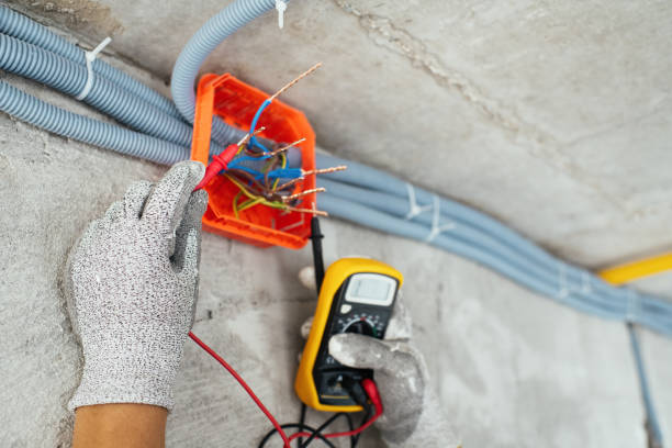 Best Commercial Electrician Services  in Lake Cassidy, WA