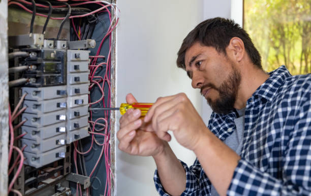 Best Electrical Repair Services  in Lake Cassidy, WA